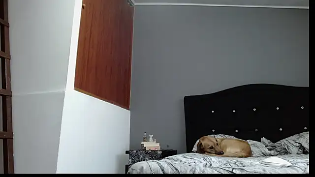 Emilia 1995 online show from 01/30/25, 10:41