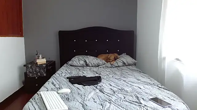 Emilia 1995 online show from 02/13/25, 12:43