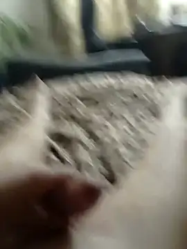 MityaXLoves online show from 03/13/25, 07:06