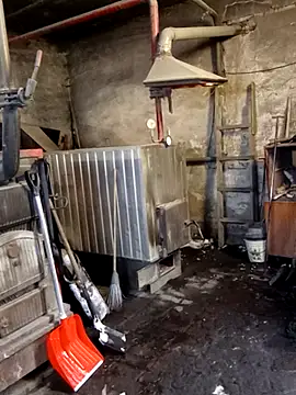 MityaXLoves online show from 01/19/26, 07:01