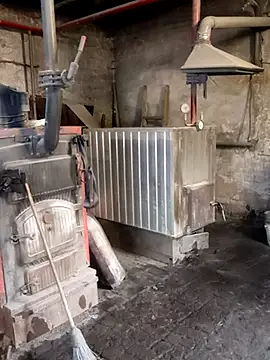 MityaXLoves online show from 04/13/26, 05:46