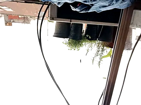 puak6666 online show from 09/29/25, 08:02