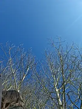 LydiaMaus96 online show from 04/21/26, 01:39