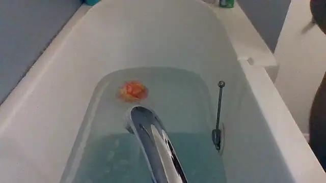 Houstonslong1 online show from 02/11/25, 08:26