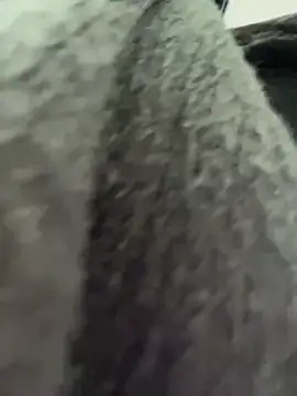 RinaCat online show from 01/06/25, 05:30