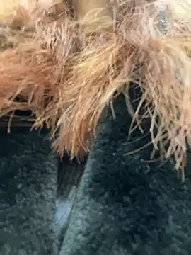 RinaCat online show from 01/09/25, 05:44