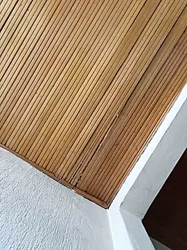 Snapshot of TattyFoxglove chatting on 07/01/26, 05:56 TattyFoxglove online show from 07/01/26, 05:56
