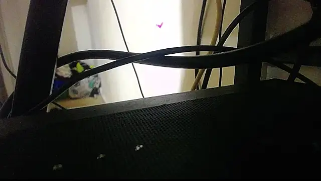 harry lia  online show from 11/05/25, 07:25