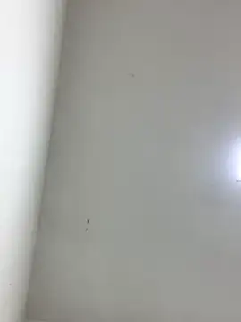 LinnaGardenia online show from 10/01/25, 05:41