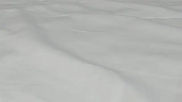 kamila twink sexy online show from 03/27/26, 02:50