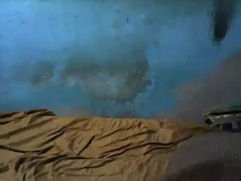 Snapshot of little__joy chatting on 03/01/25, 02:37 little joy online show from 03/01/25, 02:37