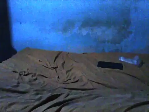 little  joy online show from 11/30/25, 10:03