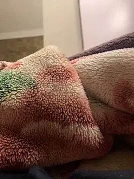 Gengista88 online show from 02/15/26, 01:24