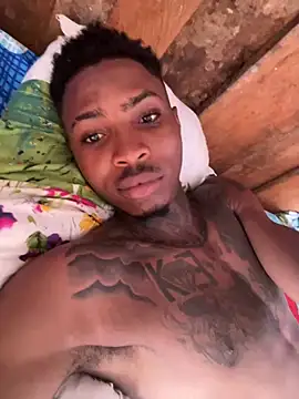 Pantera black 21 online show from 03/07/26, 05:10