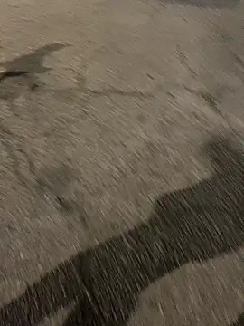 Snapshot of ToAnWTW chatting on 02/24/26, 09:57 ToAnWTW online show from 02/24/26, 09:57