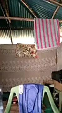 Brian johns online show from 12/31/24, 12:04