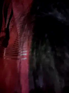 Snapshot of pleasure_and_fantasy chatting on 01/02/25, 12:13 pleasure and fantasy online show from 01/02/25, 12:13