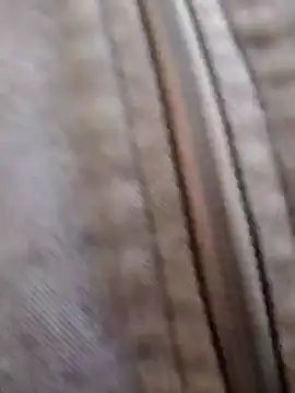 Snapshot of pleasure_and_fantasy chatting on 01/08/25, 03:07 pleasure and fantasy online show from 01/08/25, 03:07