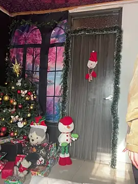  Artemisa X online show from 12/28/24, 09:08