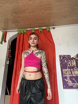  Artemisa X online show from 02/20/25, 06:57