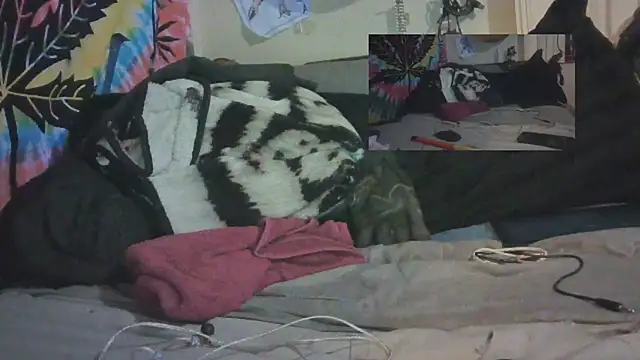 jaxx12369 online show from 02/11/25, 12:17