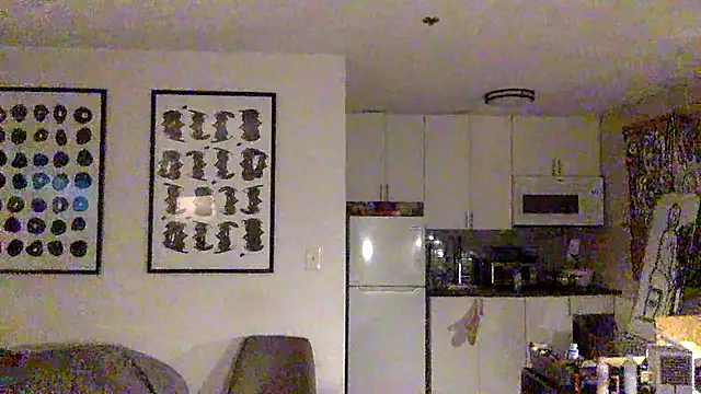 TheOnlyTwinTowers online show from 04/13/26, 04:51