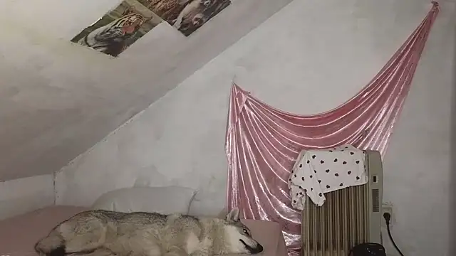 MAMA69LAMA online show from 03/09/26, 07:40