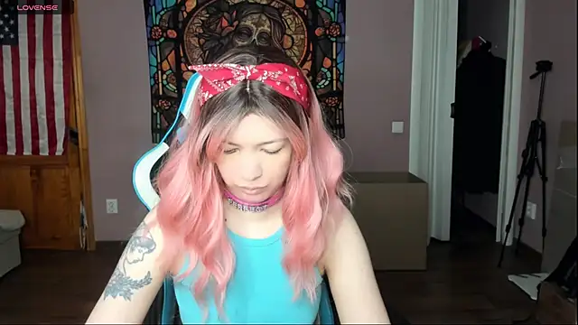 Project hisoka online show from 04/22/26, 06:27