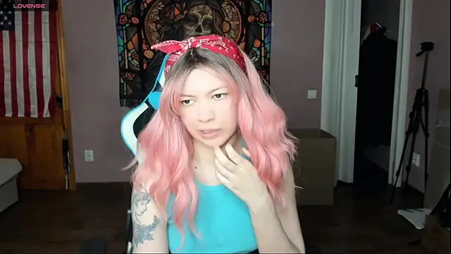 Project hisoka online show from 04/23/26, 12:29