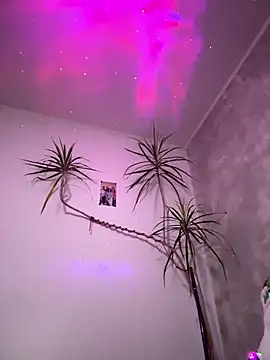 derek1494 online show from 01/05/26, 10:35