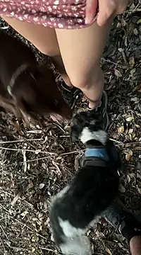 Reinacatchile online show from 02/06/25, 11:58