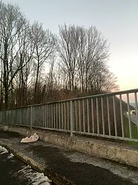 Snapshot of NickyGold_Official chatting on 01/18/25, 04:10 NickyGold Official online show from 01/18/25, 04:10