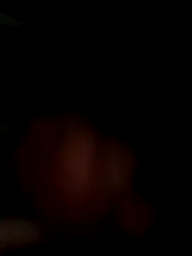 MynameisPaco online show from 11/11/25, 08:53