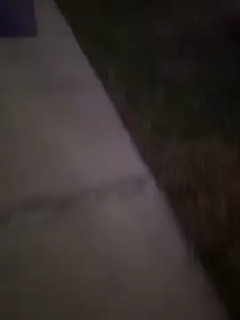 Snapshot of MynameisPaco chatting on 12/20/25, 11:23 MynameisPaco online show from 12/20/25, 11:23