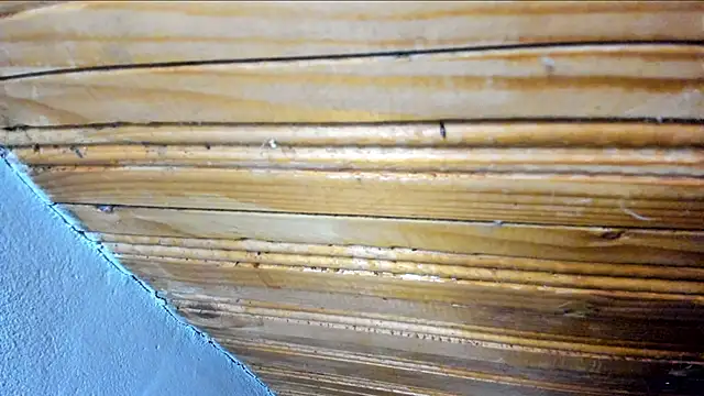 00loret online show from 02/21/25, 10:39