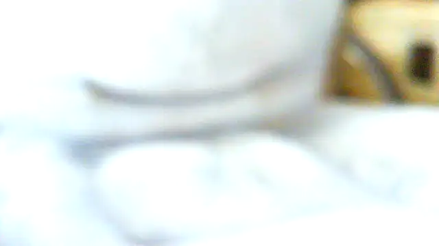 volficxh online show from 04/05/26, 08:44