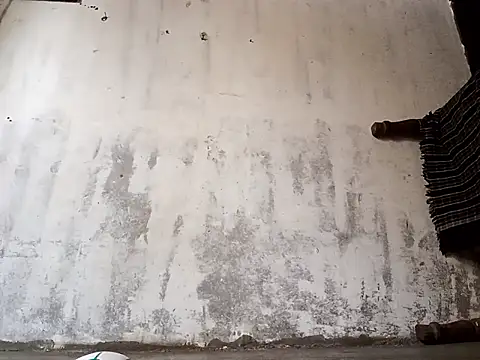 Yasha 14C Creator online show from 01/17/26, 05:01