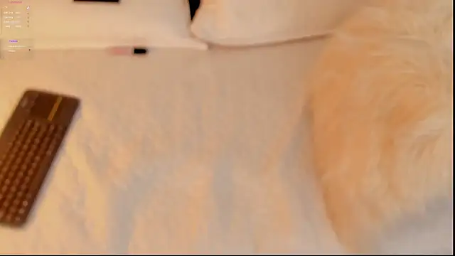 FabianPriince online show from 01/14/25, 06:28