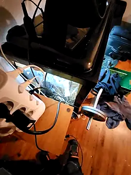 0815lukas2024 online show from 12/02/24, 08:22