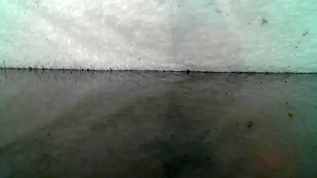 0815lukas2024 online show from 10/22/25, 09:03