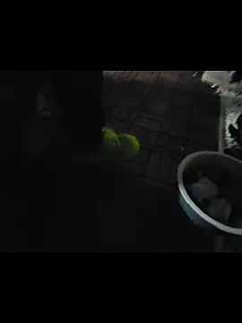 0815lukas2024 online show from 11/16/25, 11:54