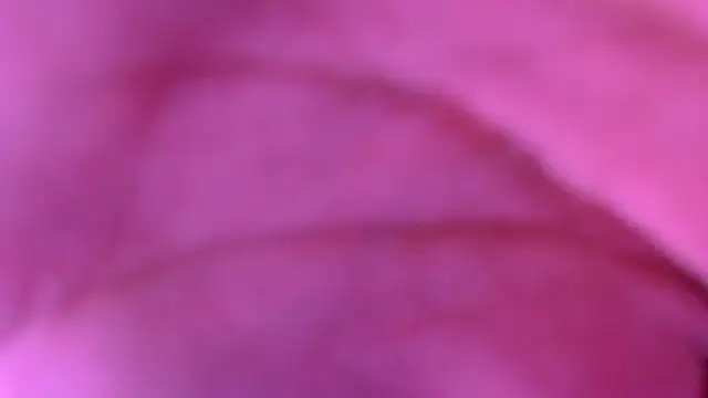 xxxxxchiaratsxxxxx online show from 03/08/26, 02:04