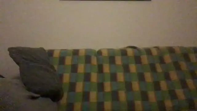 Snapshot of Totipro69 chatting on 12/04/24, 10:19 Totipro69 online show from 12/04/24, 10:19