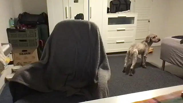 Snapshot of Totipro69 chatting on 02/16/25, 07:05 Totipro69 online show from 02/16/25, 07:05