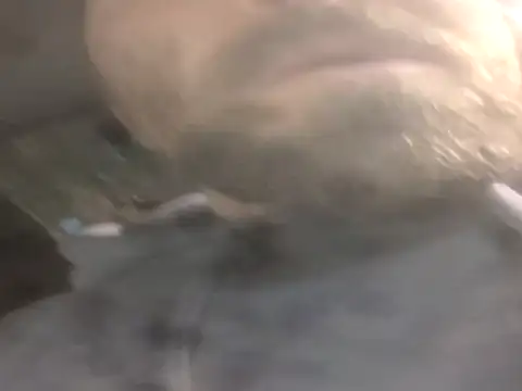 jwiththethickone413 online show from 11/17/25, 05:52