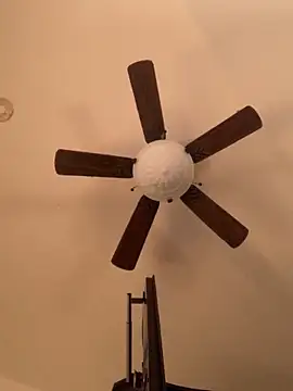 holyeroticss online show from 11/28/25, 12:13