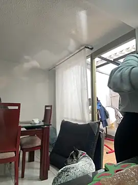 Salome golvert online show from 03/02/26, 08:37