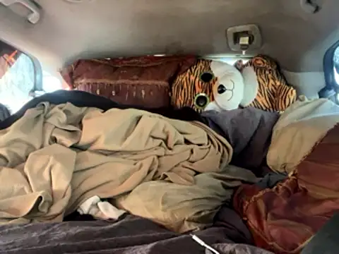 SlimeCrownzOut5 online show from 01/11/26, 06:46