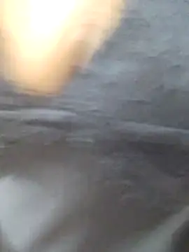 Banii 22 online show from 02/24/25, 08:17