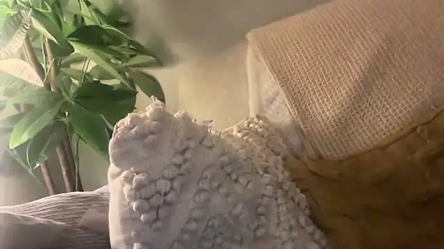 Snapshot of toptugger chatting on 10/17/25, 07:27 toptugger online show from 10/17/25, 07:27